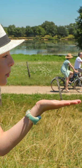 La Voie Bleue entre Saône et Loire