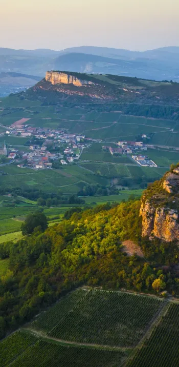 Solutré Pouilly Vergisson