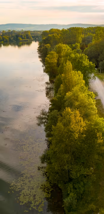 Paysage naturel des bords de Saône - Ain