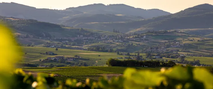 011_etienne_ramousse_destination_beaujolais_paysages_vignobles_hd_2019-min.jpg