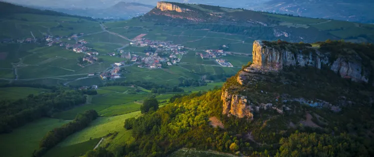 Solutré Pouilly Vergisson