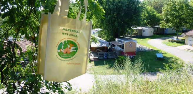Bois de la Dame campsite