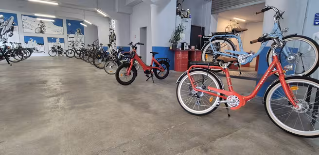 Paddock Shop