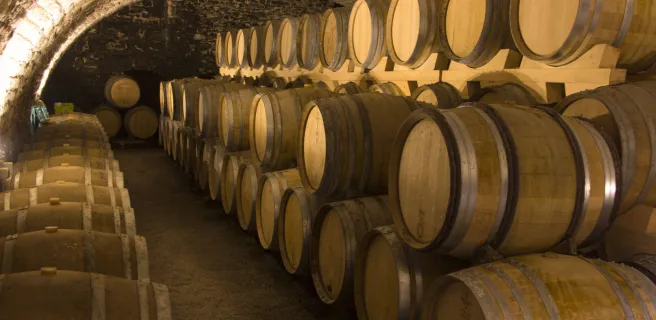 Château de la Greffiere