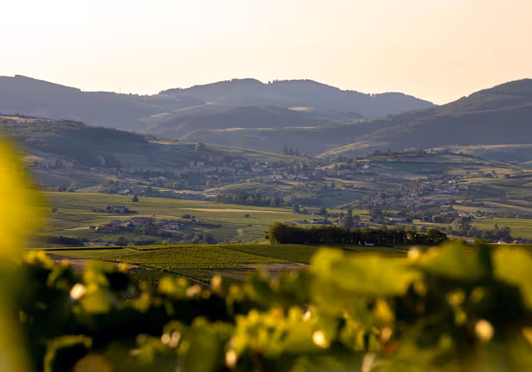 Vignoble du Beaujolais © etienne_ramousse_destination_beaujolais