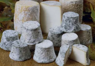 Zoom sur : Vélo & Fromage sur La Voie Bleue