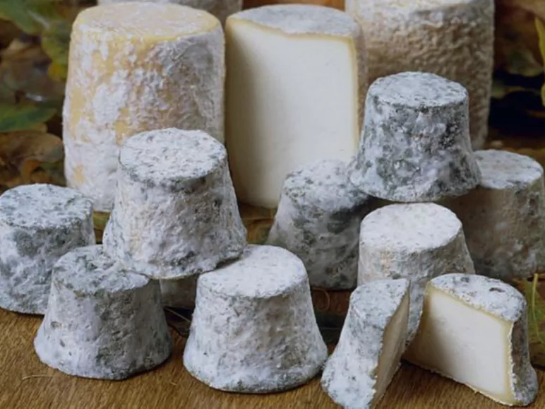 Zoom sur : Vélo & Fromage sur La Voie Bleue